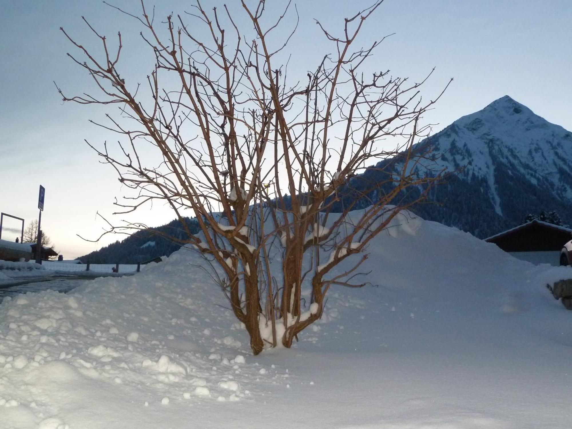 Hotel Restaurant Sunnmatt Aeschi Bei Spiez Eksteriør bilde