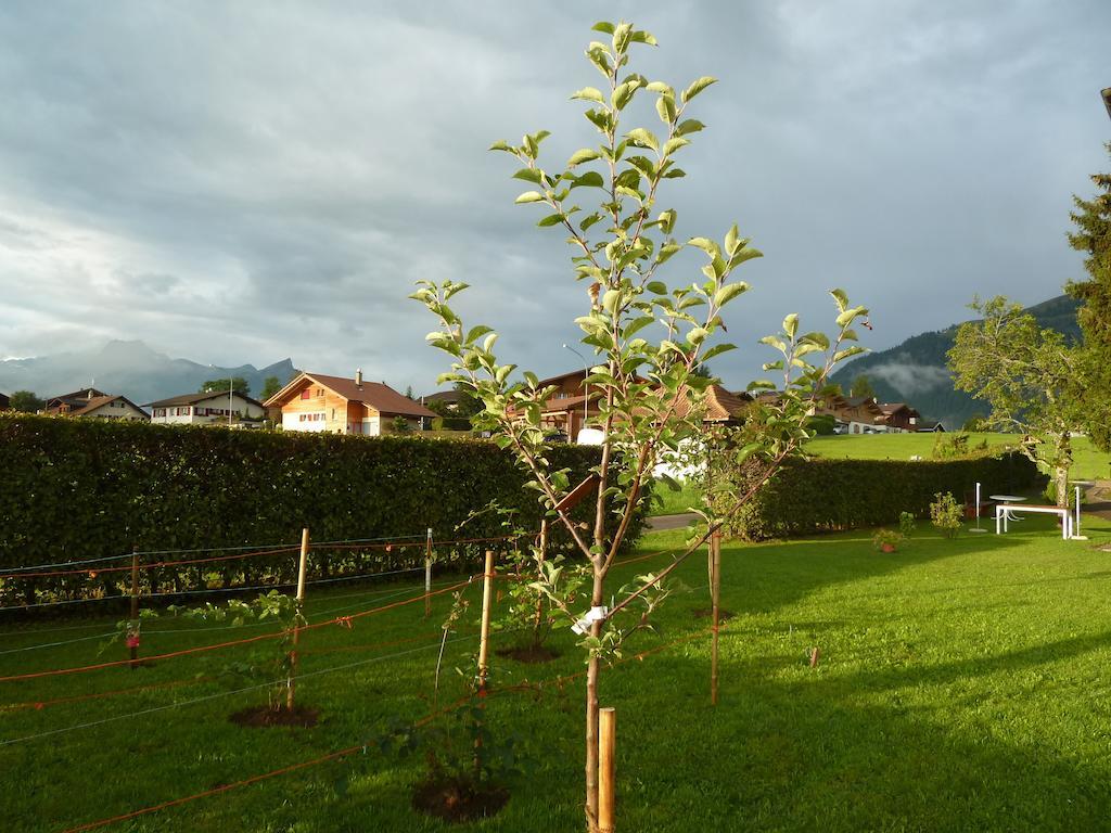 Hotel Restaurant Sunnmatt Aeschi Bei Spiez Eksteriør bilde